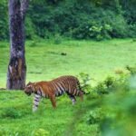 അത്യാധുനിക യുദ്ധവിമാനങ്ങൾ ദക്ഷിണ ചൈനാ കടലിന്റെ അടിത്തട്ടിൽ നിന്ന് യുഎസ് നേവി വീണ്ടെടുത്തു.